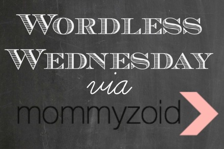 wordless wednesday