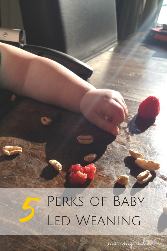 5 Perks of Baby Led Weaning | www.mommyzoid.ca