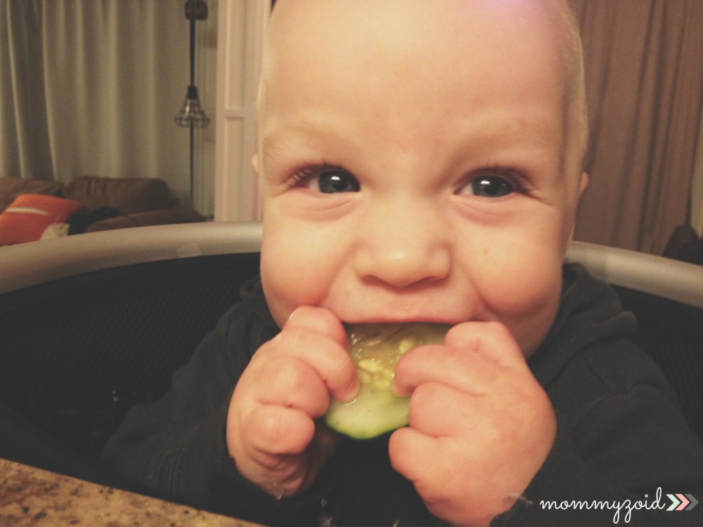 5 Perks of Baby Led Weaning | www.mommyzoid.ca