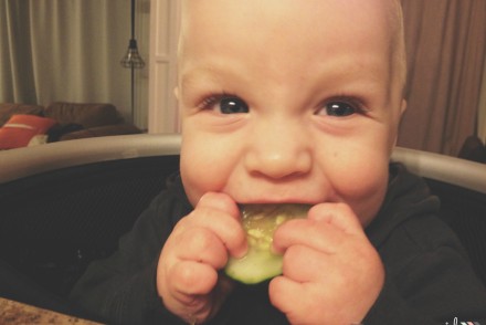 5 Perks of Baby Led Weaning | www.mommyzoid.ca